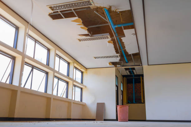 Best Carpet water damage restoration  in Ohatchee, AL