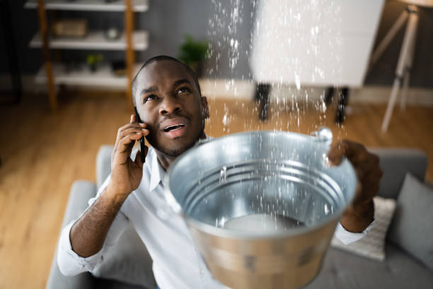  Ohatchee, AL Water damage restoration Pros