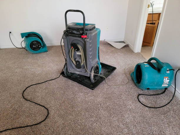 Best Flooded house restoration  in Ohatchee, AL