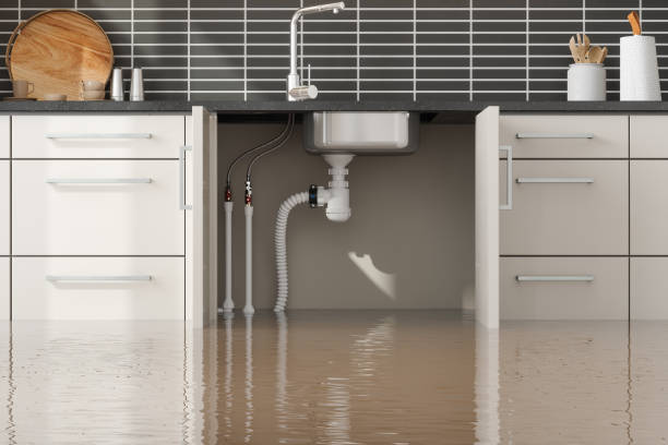 Best Commercial water damage restoration  in Ohatchee, AL