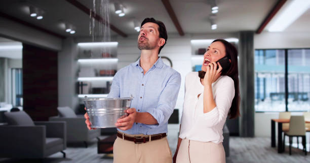 Best Professional water damage repair  in Ohatchee, AL