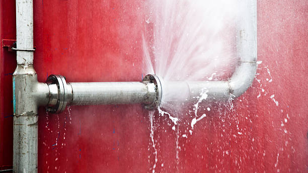 Best Mold removal after water damage  in Ohatchee, AL